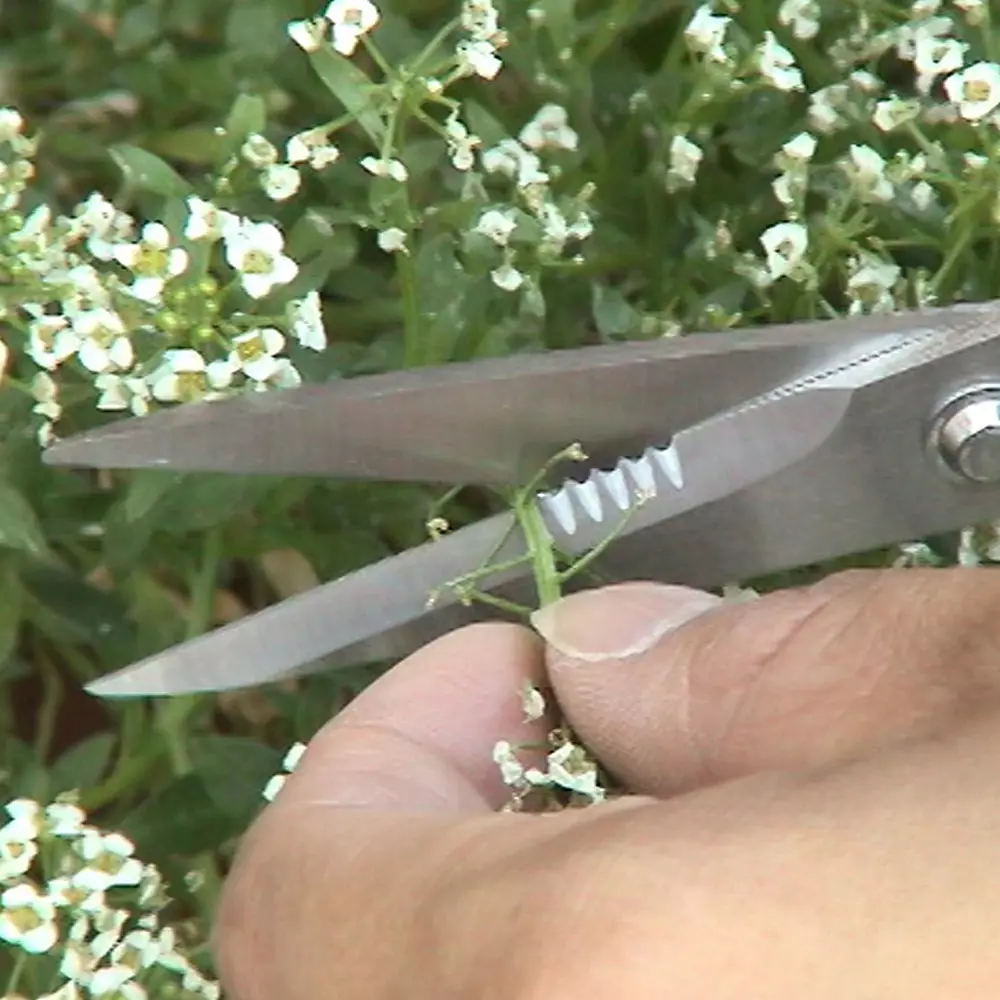 engineer-iron-arm-scissor-170-mm-overall-length-ph-50