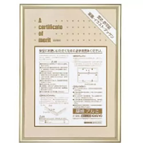 Kokuyo 296x205 mm Anodized Aluminum Award Frame, KA-223K