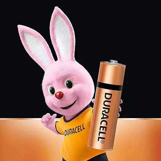 Duracell Chhota Power AA Alkaline Batteries (Pack of 10)