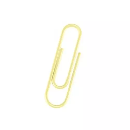 GENERIC Paper Clips Plastic Coated Metal 33x8 mm Assorted for Organizing Document (Pack of 50 pcs)