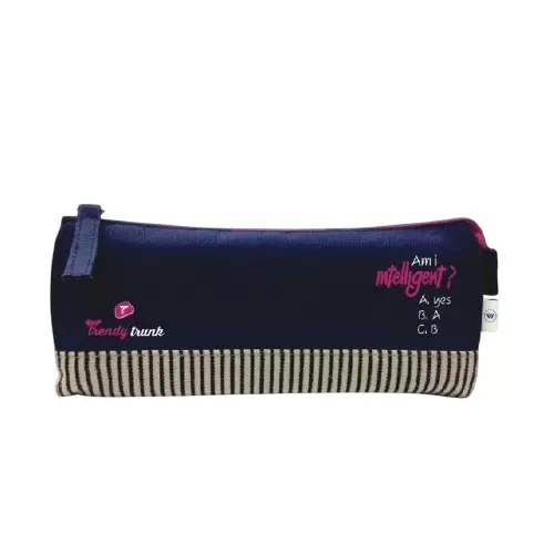 Worldone Trendy Trunk Pouch Polyester Zipper Assorted Color, WTT006
