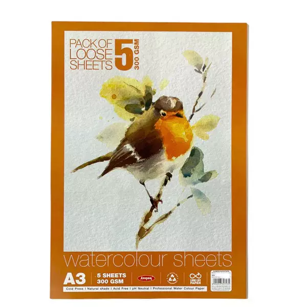 Anupam A3 Water Colour Paper 300 GSM White (Pack of 5 Sheet)