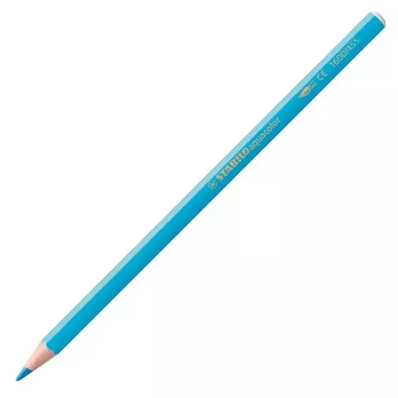 Stabilo Aquacolor Arty Aquarellable Colored Pencil Set Multicolor for Artists, Students, Hobbyists, 1624/1-20 (Set of 24)