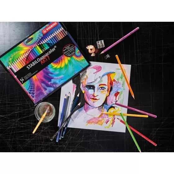 Stabilo AQUACOLOR Aquarellable Colored Pencil Set Multicolor for Artists, Students, Hobbyists, 1612-5 (Set of 12)