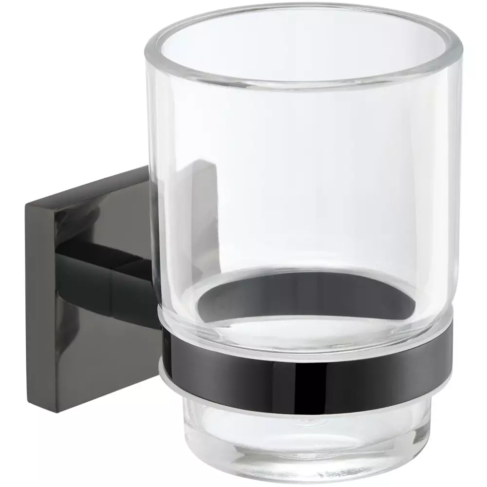 Parryware Sigma Tumbler Holder Wall Mount Stainless Steel Shiny Black, T5904A5