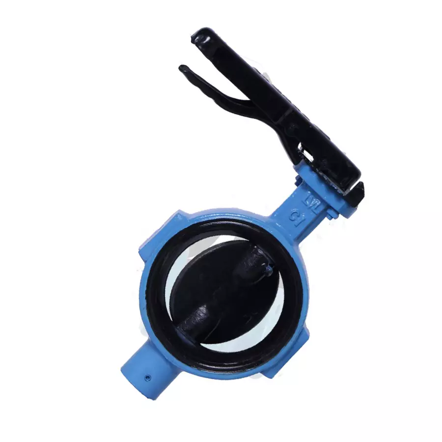 Leader 2-1/2 Inch, 65 mm Cast Iron Butterfly Valve CI 061B