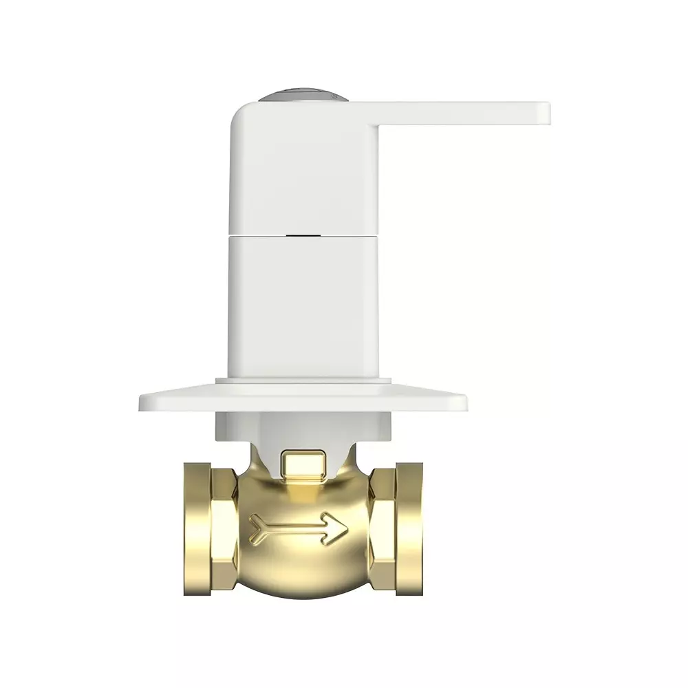 RN PTMT Concealed Stop Cock Wall Mount White 20 mm Faucet Hole, RNANP01A05