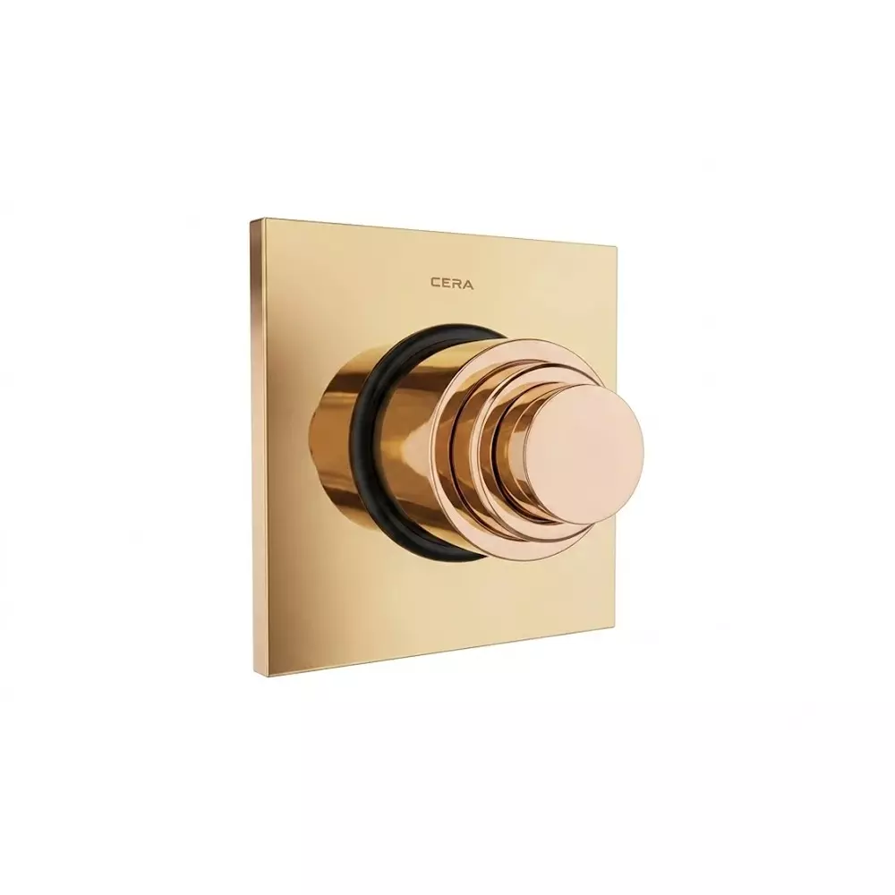 CERA Concealed Dual Flush Valve Push Type Square Shape 1.5 Inch (40 mm) Size French Gold for Bathroom Use, F8010205FG