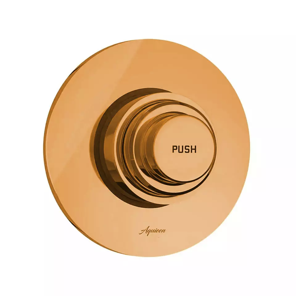 Aquieen Metropole Rose Gold Luxury 1.25 Inch Brass Silver Flush Valve Each of 1 Piece