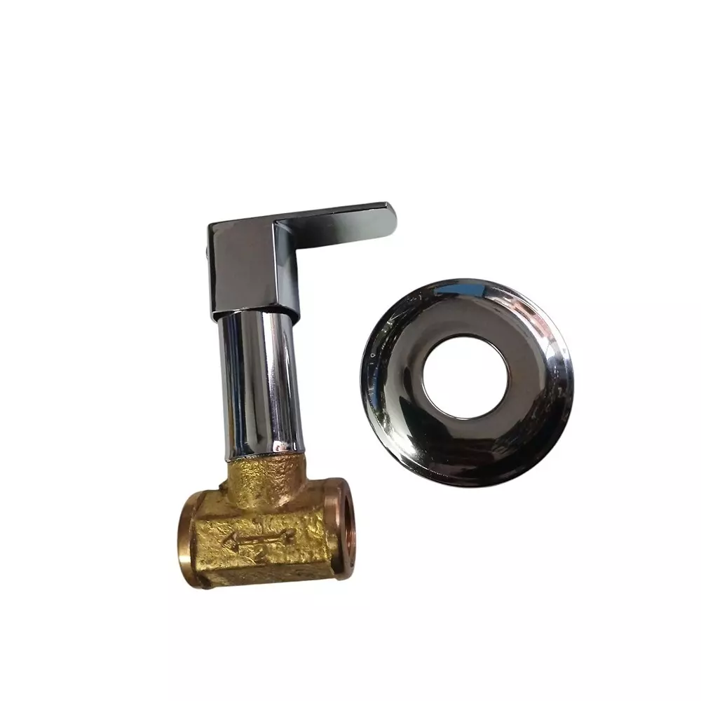INDIA DREAMS Concealed Brass Wall Mount Silver, ID_SS_094