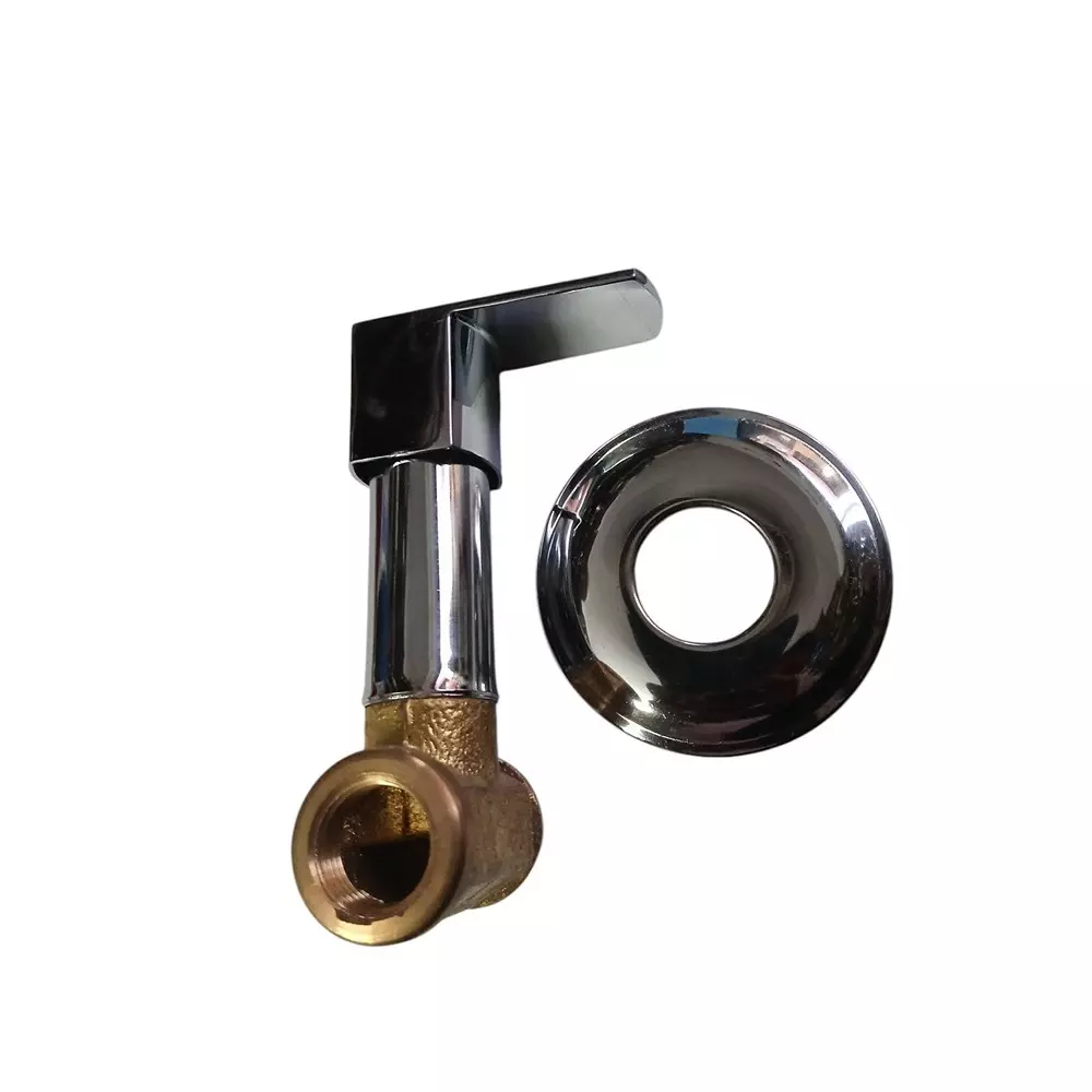 INDIA DREAMS Concealed Brass Wall Mount Silver, ID_SS_094