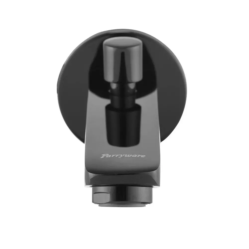 Buy Parryware Spout with Diverter Praseo Black Matt Finish