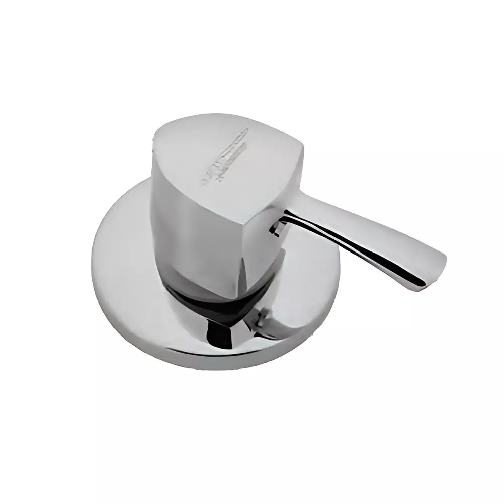 Somany Concealed Upper Part French Collection Arizona Series Chrome Finish Metal Body Wall Mount, 272211400061