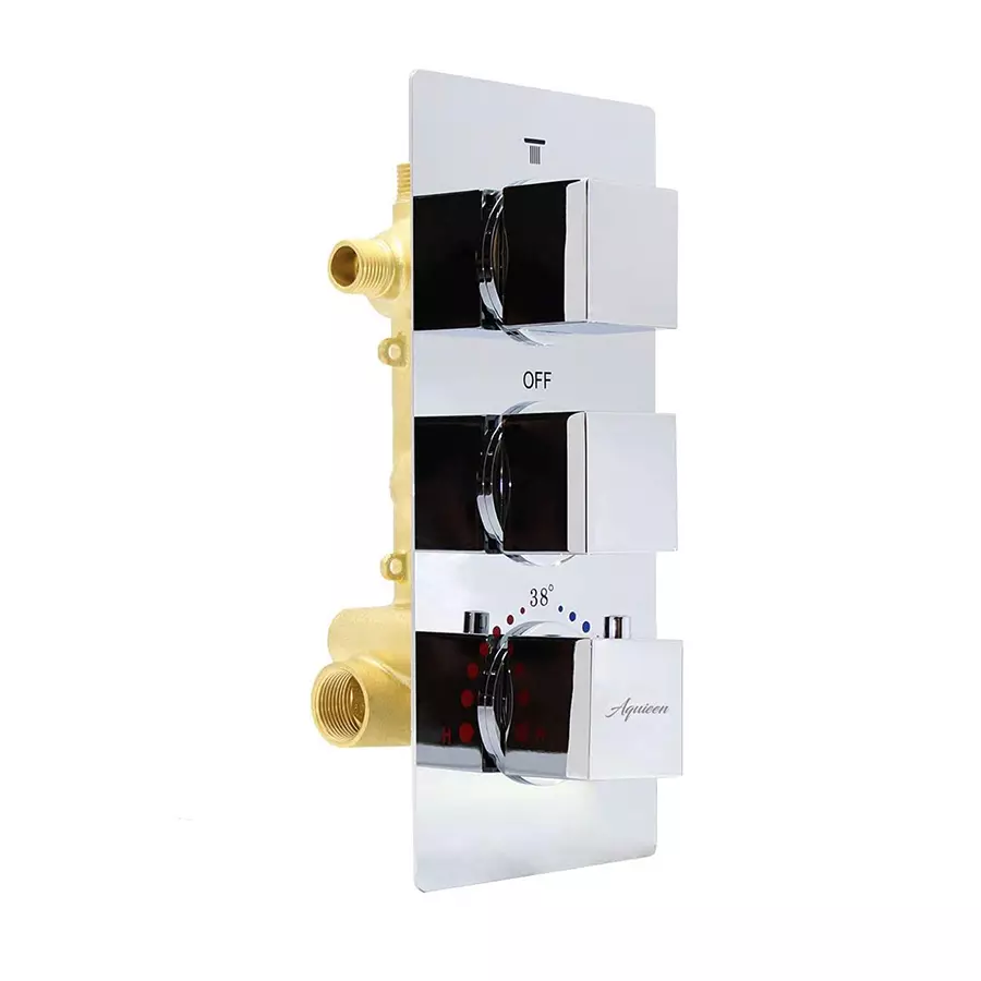 Aquieen Wall Mounted Stainless Steel Silver Color Chrome Finish Thermostatic Diverter