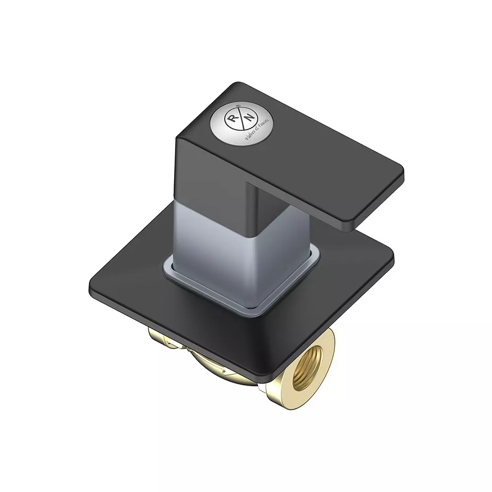 RN PTMT Concealed Stop Cock Wall Mount Metallic Grey & Black 15 mm Faucet Hole, RNANP09B04