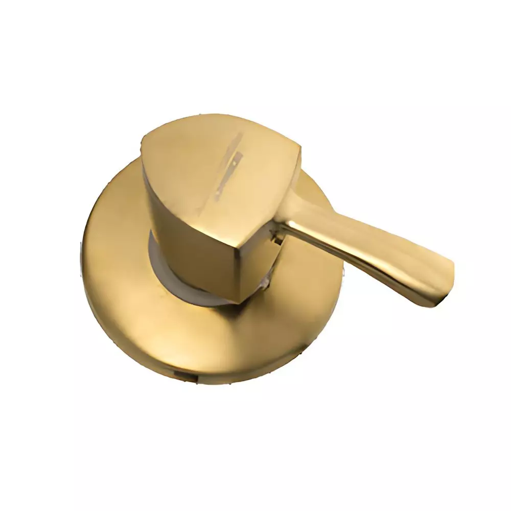 Somany Concealed Upper Part French Collection Arizona Series Brushed Gold Finish Metal Body Wall Mount, 272211400301