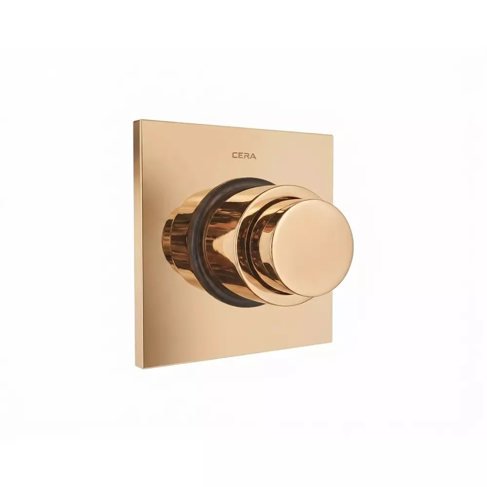 CERA Concealed Single Flush Valve Push Type Square Shape 1.5 Inch (40 mm) Size French Gold for Bathroom Use, F8010111FG