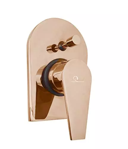 Aquieen Entice Series Metal Construction Hi Flow Diverter Body