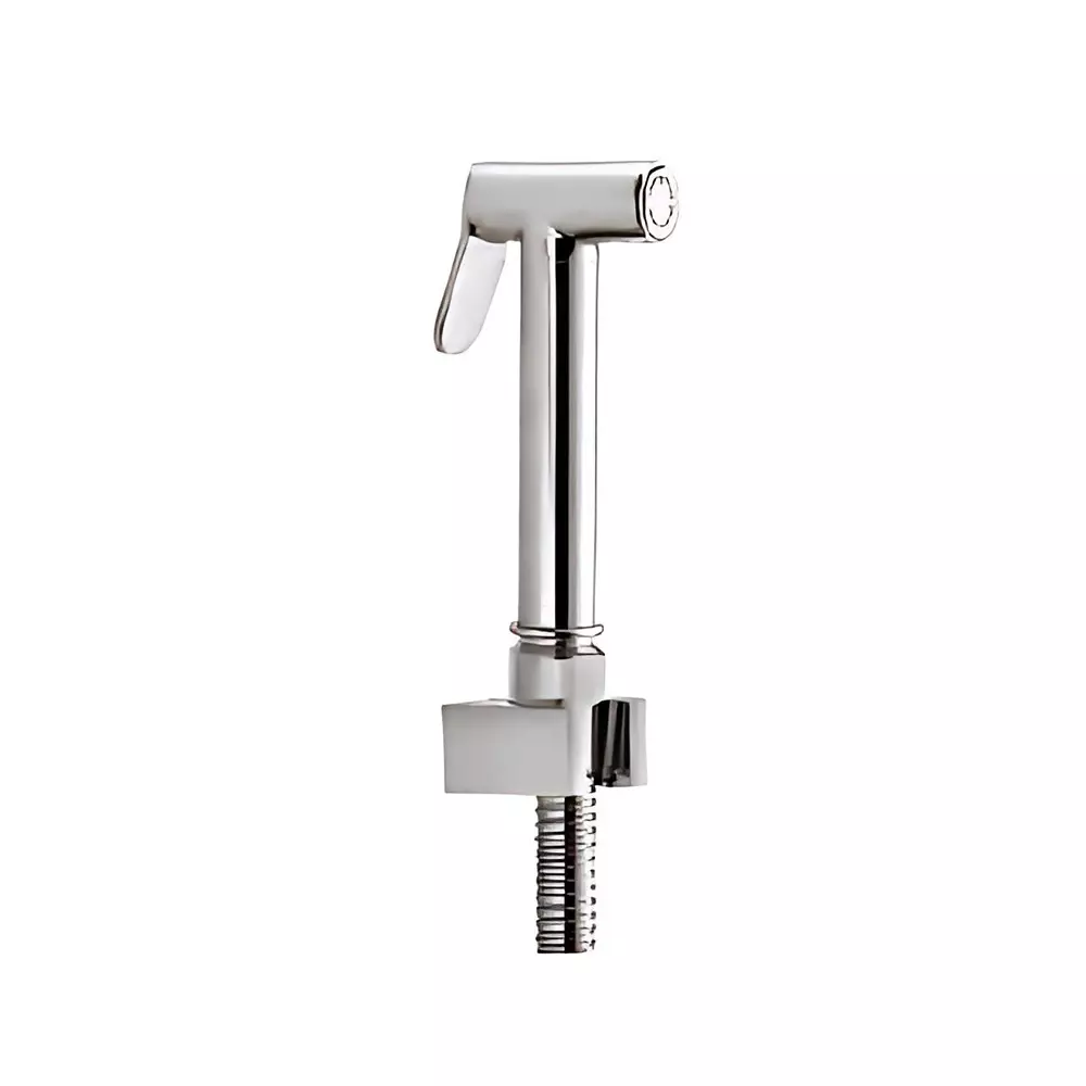 Somany Health Faucet With Tube and Hook French Collection Grace Series Chrome Metal Wall Mount, 272150680341