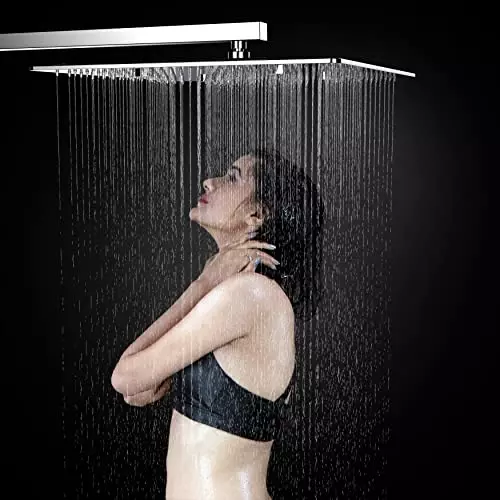 rn-mist-10-inch-stainless-steel-silver-wall-mount-overhead-shower-without-arm-rn69010250