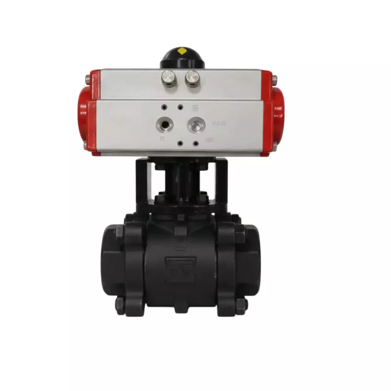 Quickair Ball Valve 1 inch (25.4 mm) Carbon Steel, A300RB-25-16-02-01-01-00-01