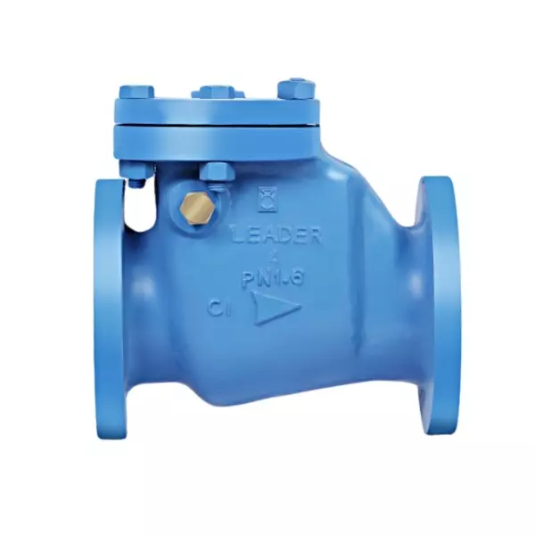 Leader Reflux Valve Bolted Cover (3 inch) 80 mm Ductile Iron Body PN-20 Size Code L, DI 021A