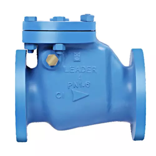 Leader Reflux Valve Bolted Cover 65 mm (2-1/2 inch) Cast Iron Body Size Code K, CI 021A