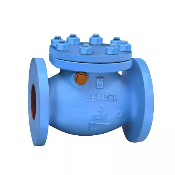 Leader Swing Check Valve Bolted Cover 500 mm (20 inch) Cast Iron Body Size Code X, CI 017