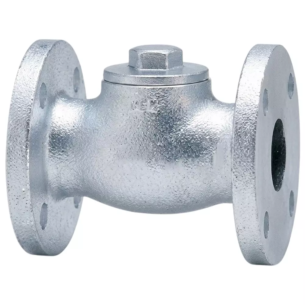 SANT Horizontal Lift Check Valve 1 Inch (25 mm) Size Bronze for Control Water & Air Flow, IBR 3F