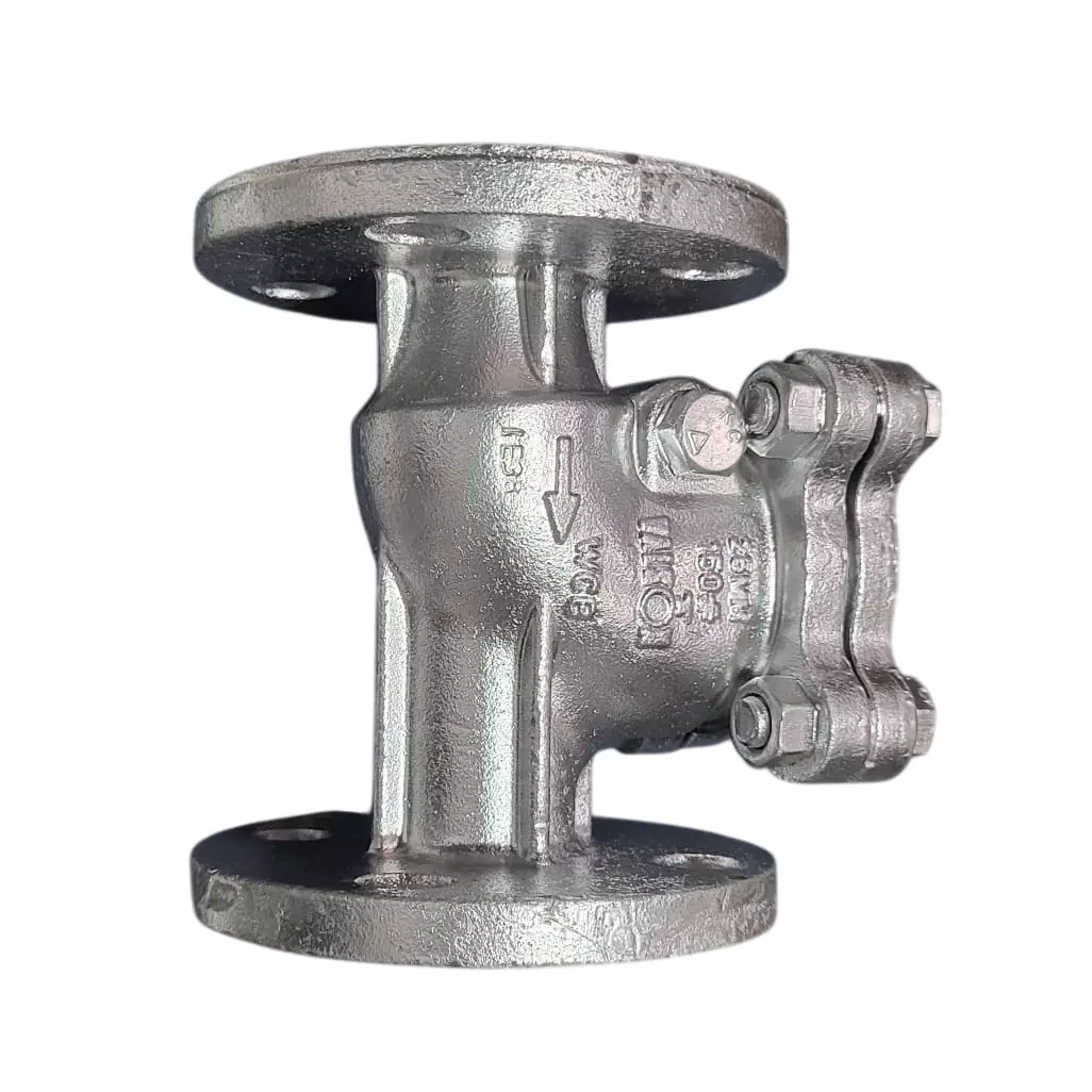 Valson 1 inch, 25.4 inch Swing Check Valve Bolted Bonnet With SS Parts Flanged Silver