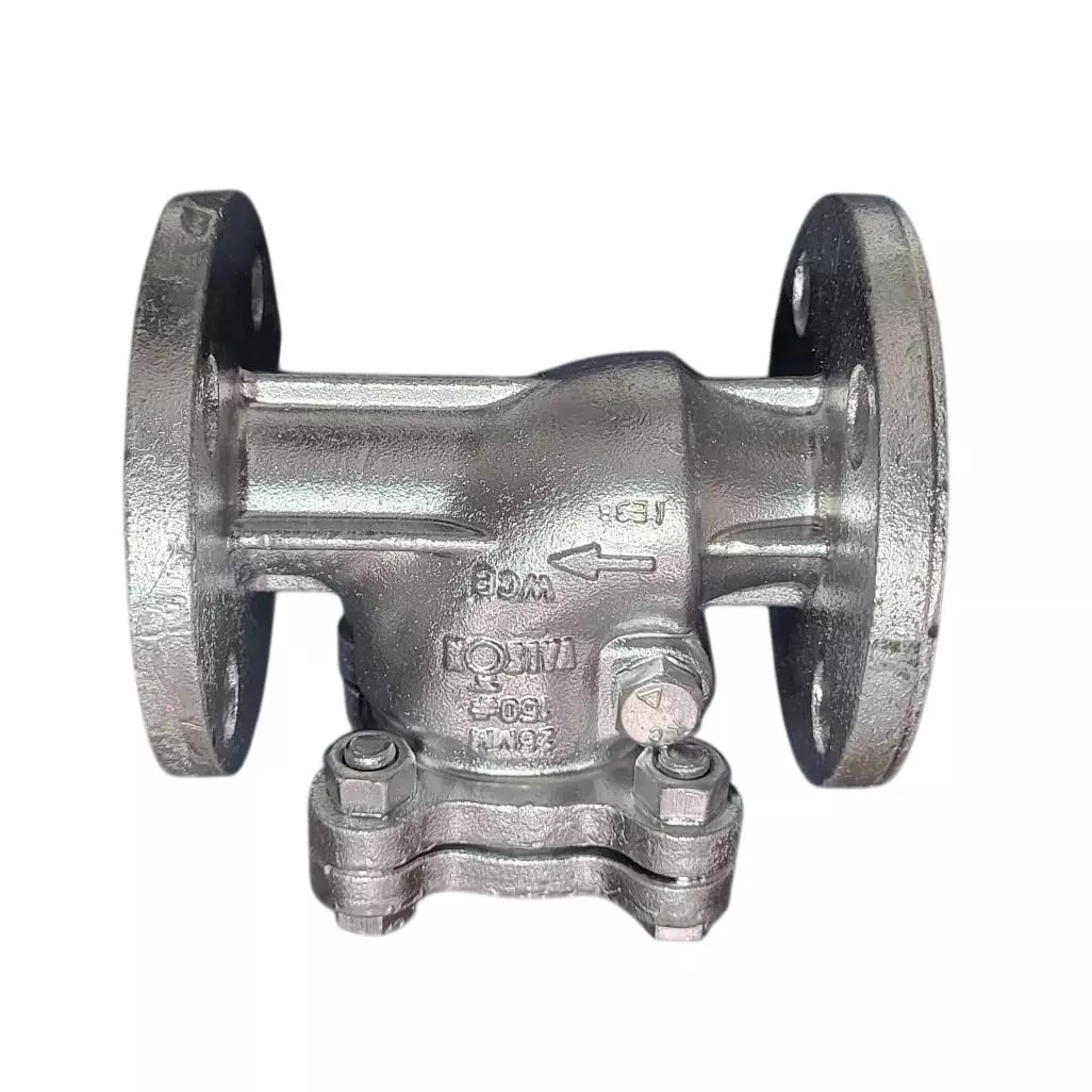 Valson 1 inch, 25.4 inch Swing Check Valve Bolted Bonnet With SS Parts Flanged Silver