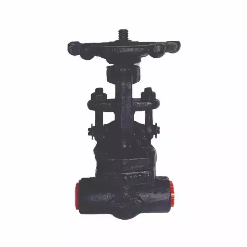 PMW Globe Valve A-105 Forged Steel Socket Weld End 20 mm (3/4 inch)