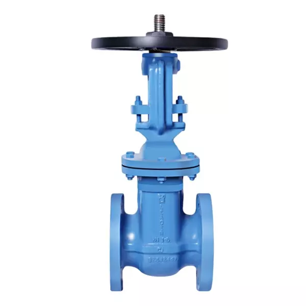 Leader Gate Valve Flanged 65 mm (2-1/2 inch) Cast Iron Body PN 1.6 Pressure/Class Rating Size Code K, CI 058A
