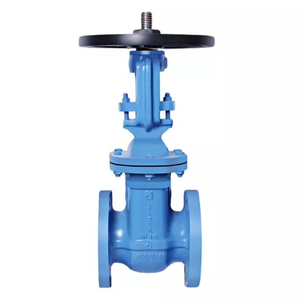 Leader Gate Valve Bolted Bonnet O/S & Yoke Type Rising Stem (16 inch) 400 mm Ductile Iron Body PN-20 Size Code V DI 058