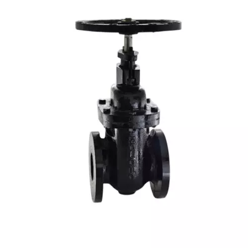 Zoloto 125 mm Sluice Valve Cast Iron Flanged Connection, 1079B