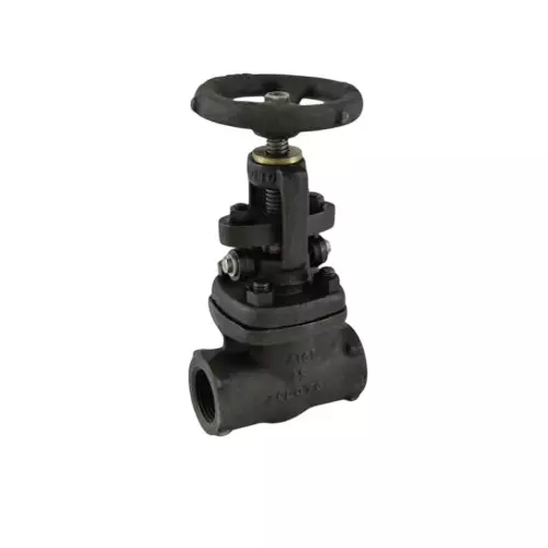 Zoloto 10 mm Full Bore Globe Valve Forged Steel Socket Weld End Connection, 1074A