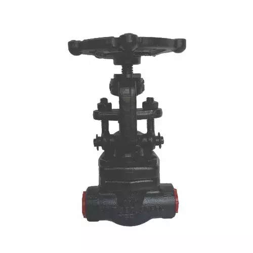 PMW Gate Valve A-105 Forged Steel Socket Weld End 50 mm (2 inch)