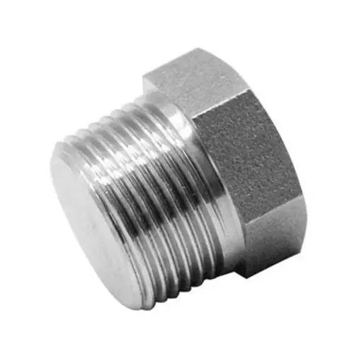 Chiffon Plug Stainless Steel 38.1 mm (1.5 inch NPT), CI/001/SS/162