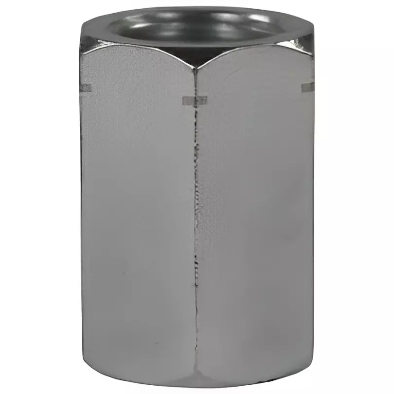 Chiffon Hex Socket Stainless Steel 12.7 mm (1/2 inch NPT), CI/001/SS/166