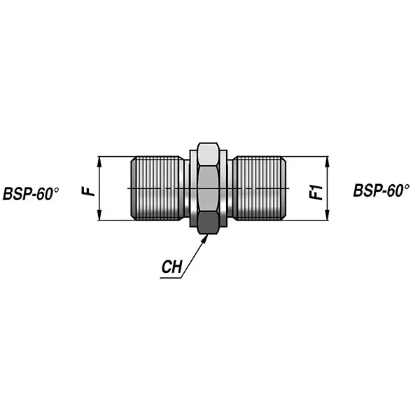 Chiffon Hose Adaptor Carbon Steel 1/4x1/4 inch BSP, CI/001/CS/404