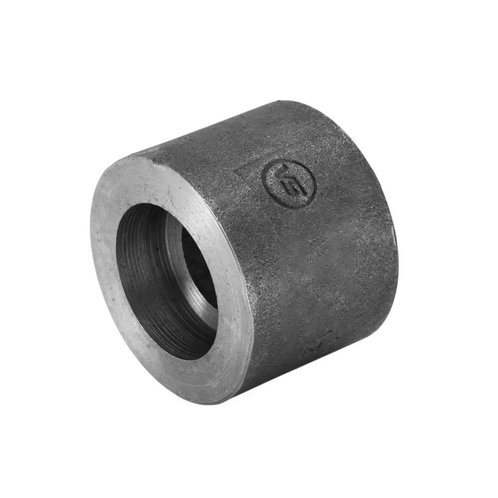 VS Steel Socket Forged Socket Weld 3000 LBS Black 25 mm (1 inch)
