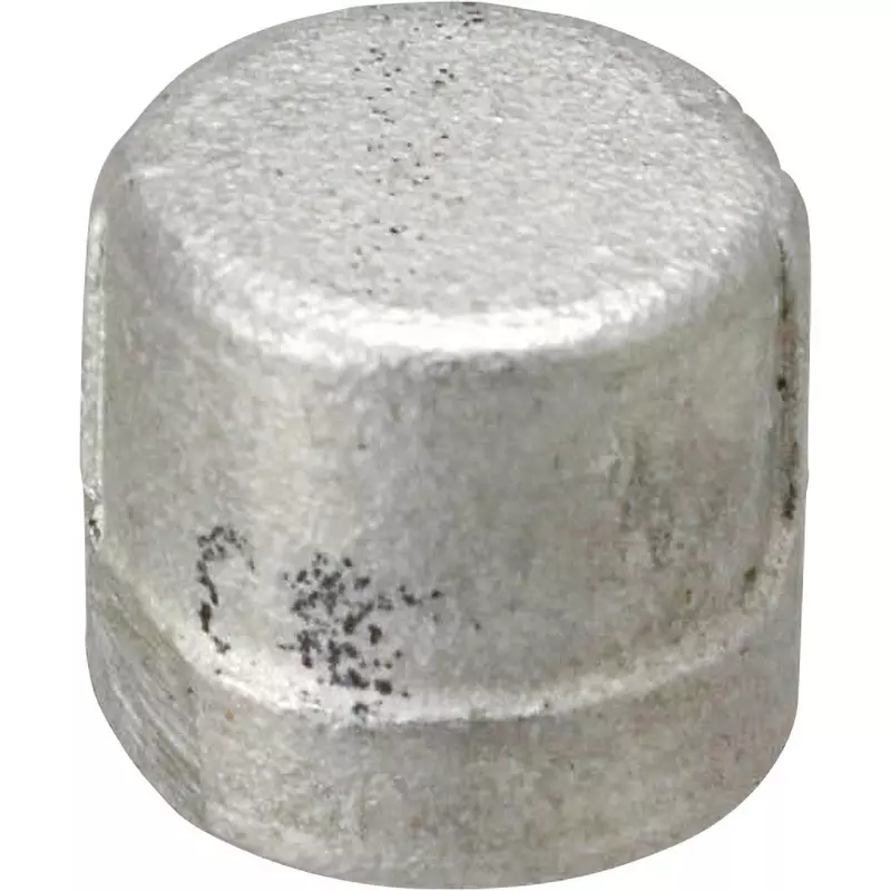 MonotaRO Threaded Cap Stainless Steel 1 Mpa PT Screw 6 mm, 19564153