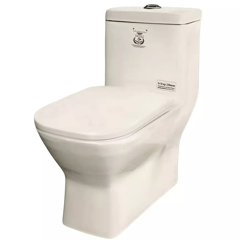 ELEGANT CASA Wash Down Toilet Seat Ceramic 300 mm Oval, 362 -12" ivory
