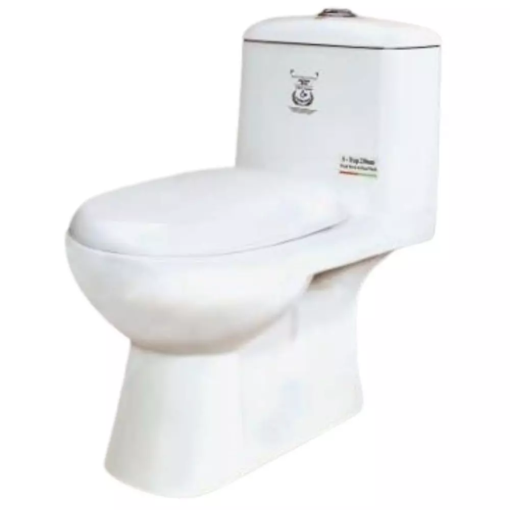 ELEGANT CASA Wash Down Toilet Seat Ceramic 300 mm Oval, 2029-12" White