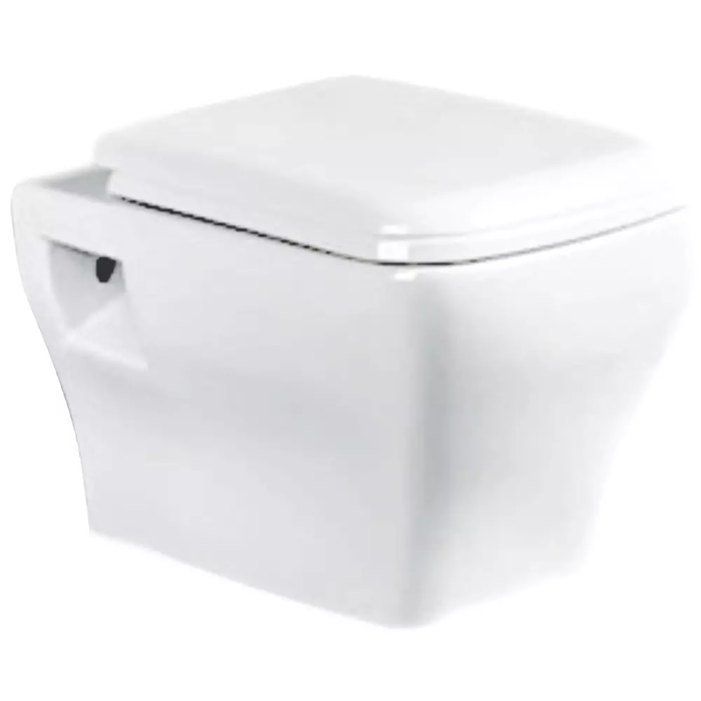 ELEGANT CASA Wall Hung Commode Ceramic 52x37x35 cm White, Toilet SeatEC-26
