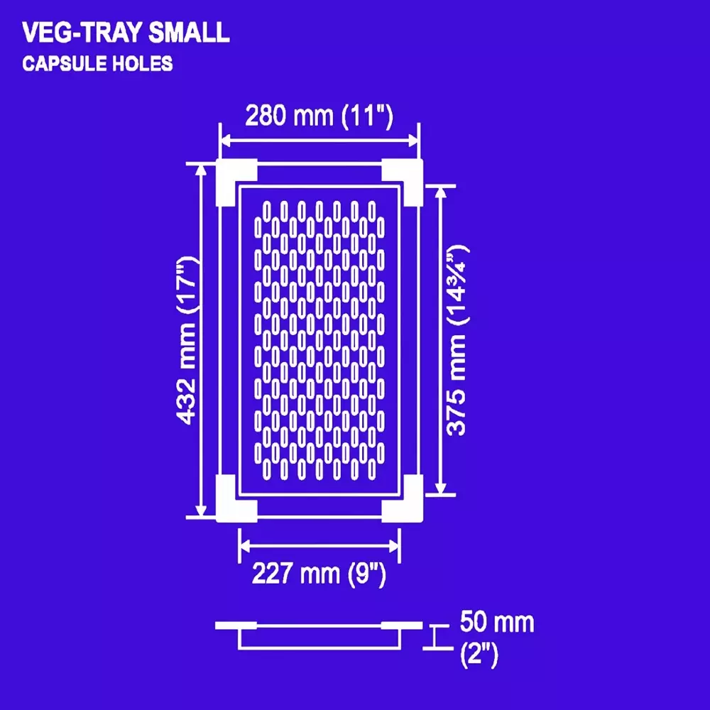 Nirali BG Add Ons Small Veg-Tray 280x432x50 mm (11x17x2 inch) Hairline Satin Finish Stainless Steel Capsule Hole