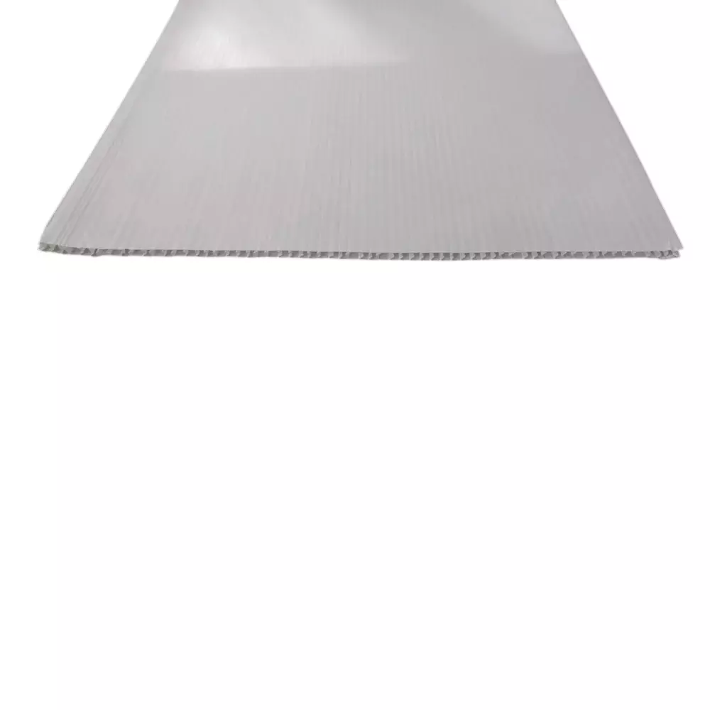 Selmex Floor Protection Sheet 2 ft (609 mm) x 30 m White