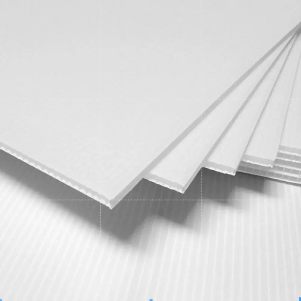 Selmex Floor Protection Sheet 2 ft (609 mm) x 30 m White