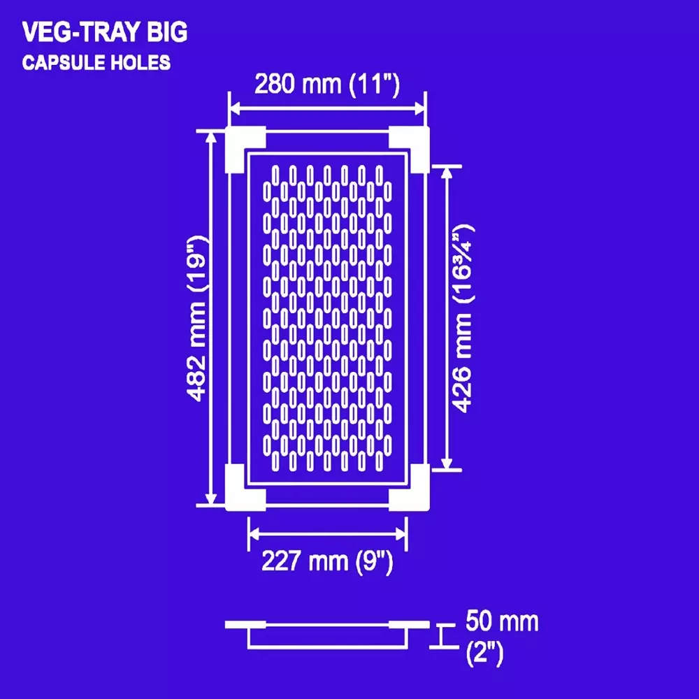 Nirali BG Add Ons Big Veg-Tray 280x482x50 mm (11x19x2 inch) Hairline Satin Finish Stainless Steel Capsule Hole