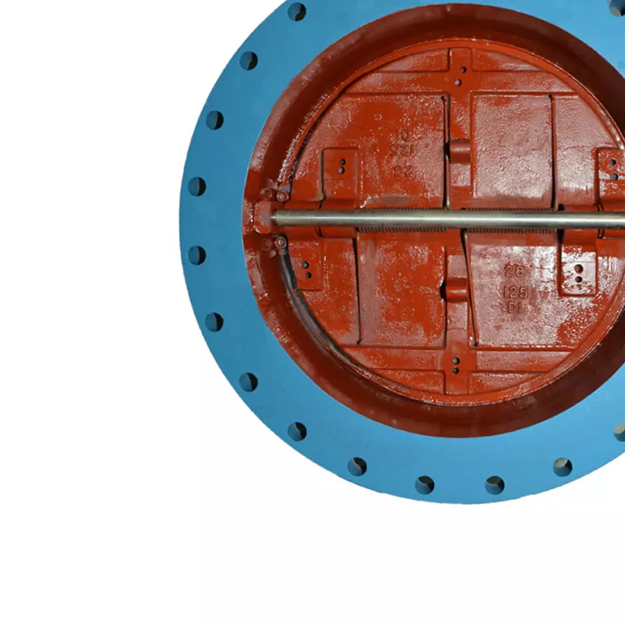 leader-ci-086a-cast-iron-6-dual-plate-check-valve-750-mm-pn--16